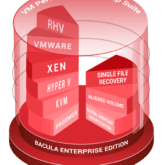 Virtual server backup software