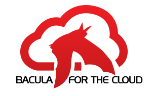 Cloud data backup enterprise cloud backup