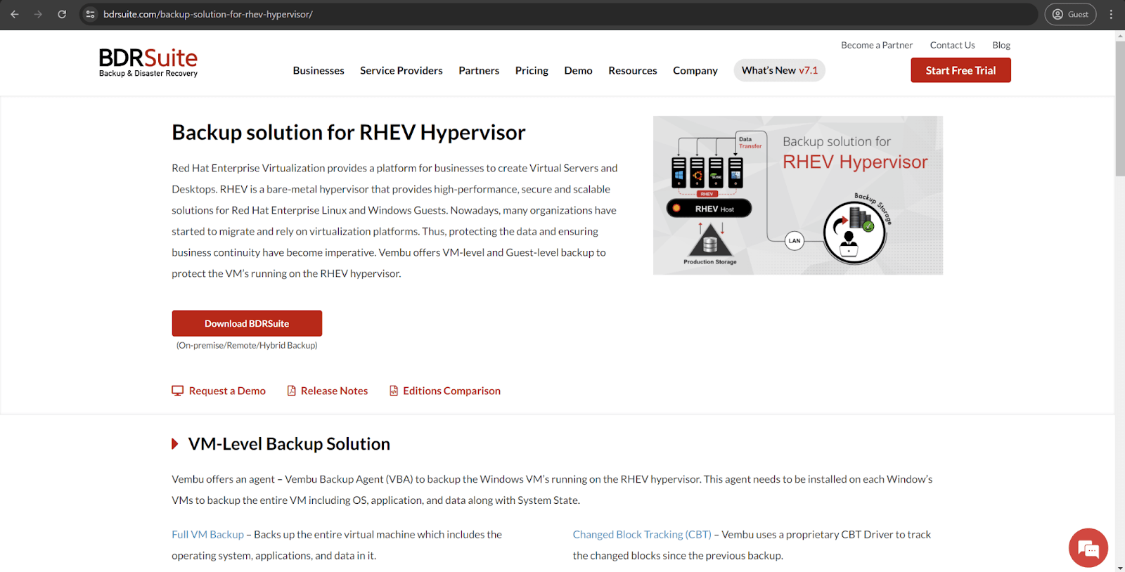 その他 Backup Protocol: RED fab Backup Protocol: RED – Flesh & Blood