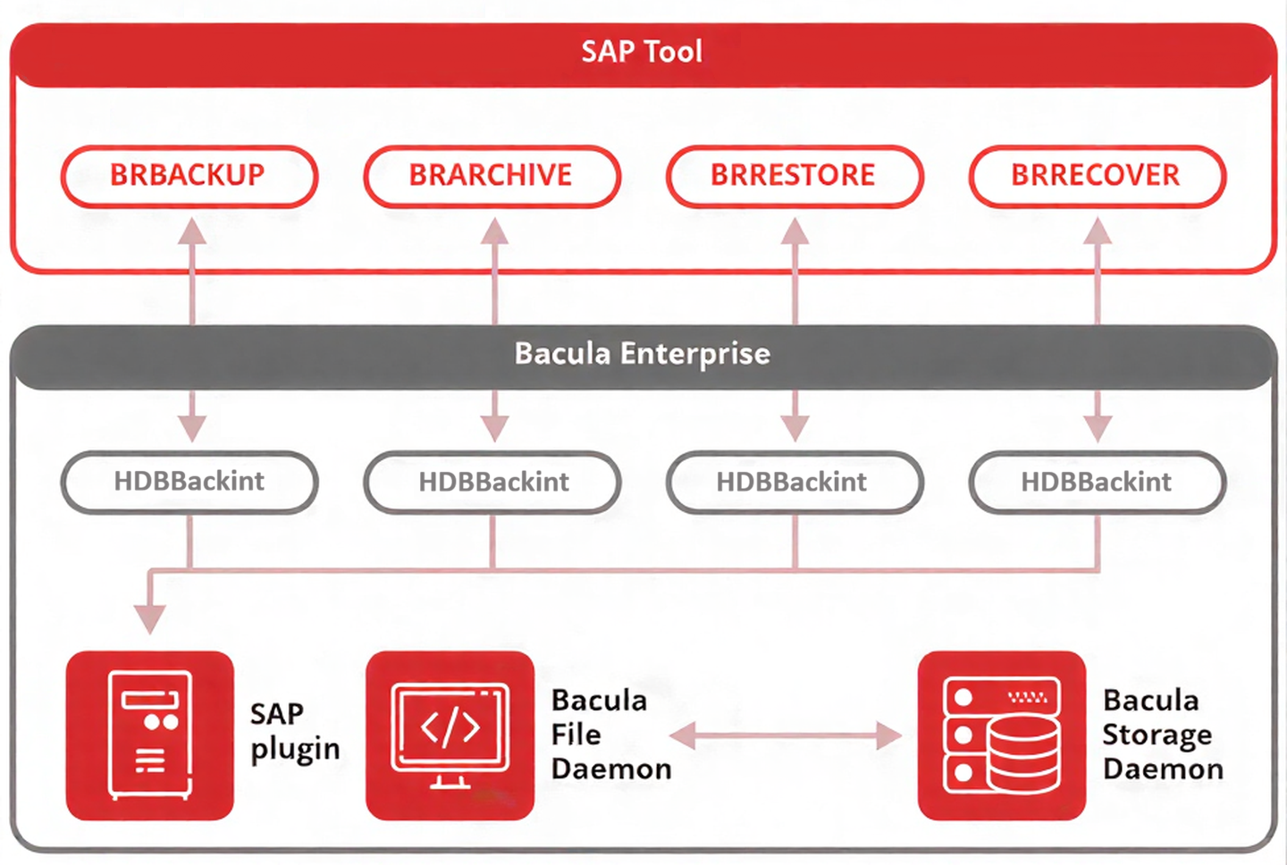 SAP backup